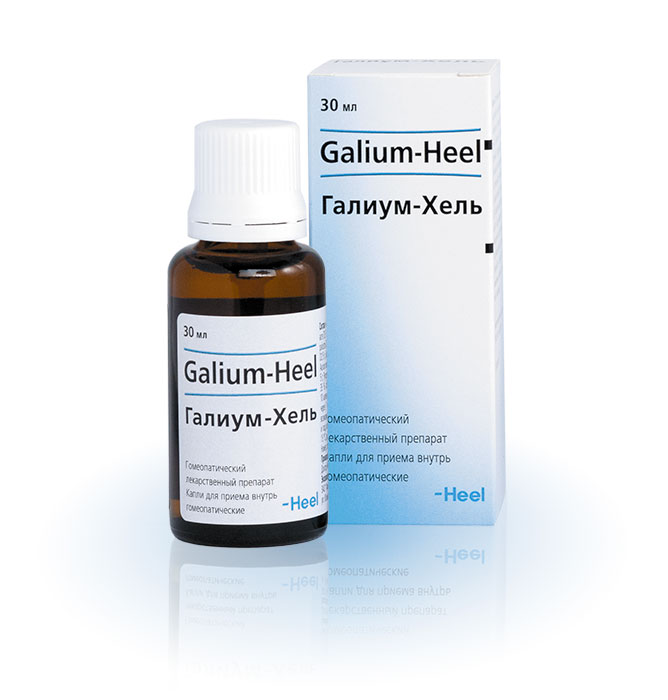 Galium Heel    -  11