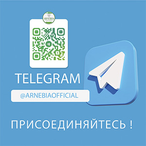 ДОБРО ПОЖАЛОВАТЬ В НАШ TELEGRAM-КАНАЛ!