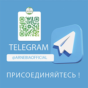 ДОБРО ПОЖАЛОВАТЬ В НАШ TELEGRAM-КАНАЛ!