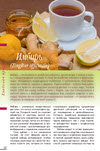 Имбирь (Zingiber offi cinale)