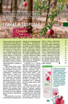 Гранат и здоровье