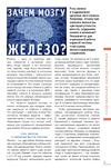 Зачем мозгу железо?