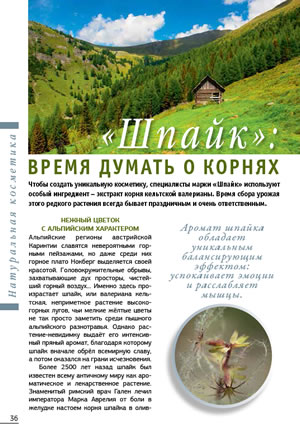 «Шпайк»: время думать о корнях