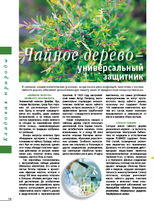 Чайное дерево &#45; универсальный защитник