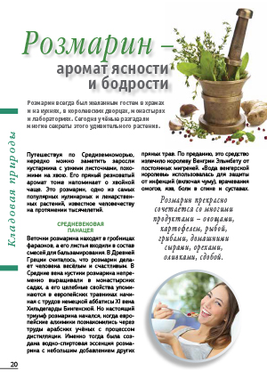 Розмарин - аромат ясности и бодрости