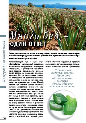 Много бед &#45; один ответ