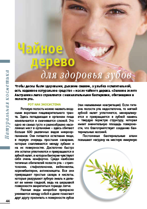 Чайное дерево для здоровья зубов