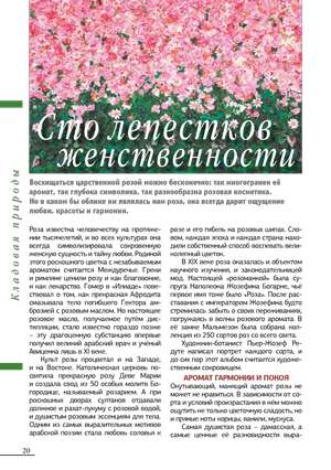 Сто лепестков женственности