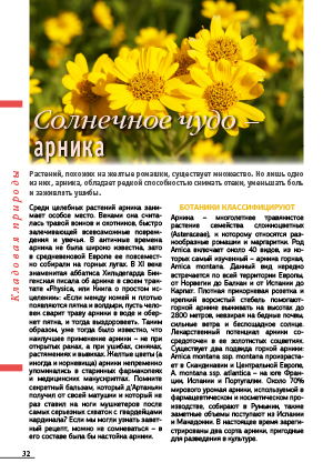 Солнечное чудо &#45; арника
